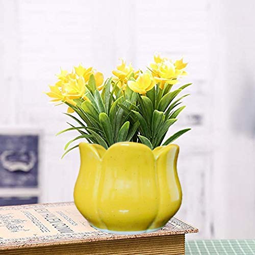 Niyara Ceramic Planter Lotus Shape for Indoor, Outdoor, Home, Office, Balcony, Decor,Garden Size - 7 inches (Yellow) (B08D7CH6GL) Amazon Price History, Amazon Price Tracker