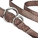 Nobby Führleine Classic, braun L: 200 cm, B: 10 mm, 1 Stück