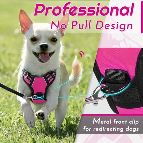 Image of Eagloo Dog Harness for Small Dogs, No Pull Pet Vest with 2 Leash Clips