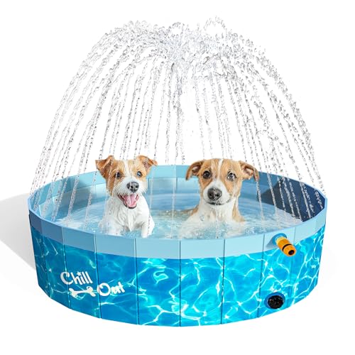 Piscine pour chien ALL FOR PAWS 120cm pliable pour laver et rafraîchir les grands animaux