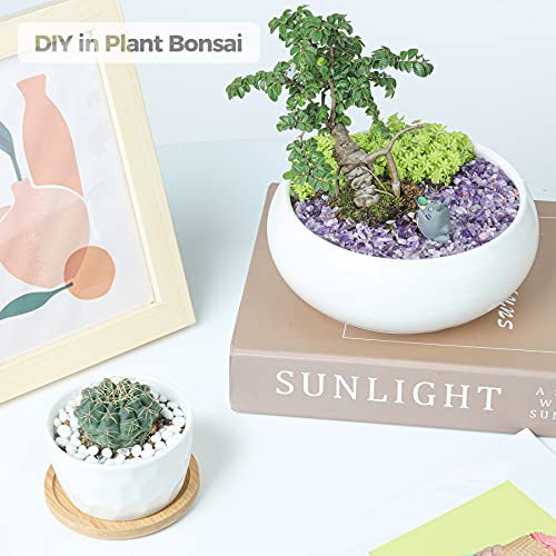 Image of T4U Tumbled Chips Stones Crushed Crystal Quartz 1 LB, Irregular Shaped Gravels Pebbles Healing Stones, DIY Smoothed Rock for Potted Plant,Resin Art,Vase Fillers Aquarium Gravel Rocks (Amethyst)