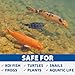 The Pond Guy UltraUV Ultraviolet Pond Water Clarifier, EPA Registered UV Light, Planktonic Algae & Green Water UVC Treatment, Plant, Koi Fish, Duck, Turtle, & Aquatic Life Safe, 36 Watt
