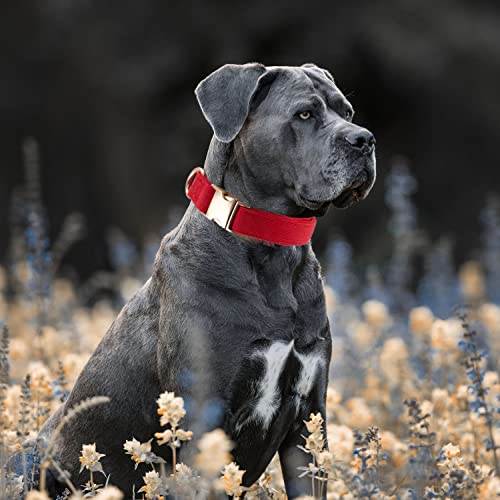 Petiry Soft Dog Collar with Safety Metal Buckle Adjustable Comfort Velvet Corduroy Christmas Collars for Medium Dogs,Red,Neck 31-49cm - Image 2
