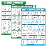 Palace Learning 3 Pack - Barbell Workout Posters Volume 1 & 2 + Stretching Exercise Chart - Set of 3 Posters (LAMINATED, 18' x 24')