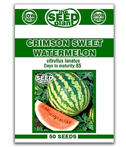 Crimson Sweet Watermelon Seeds - 50 Seeds Non-GMO