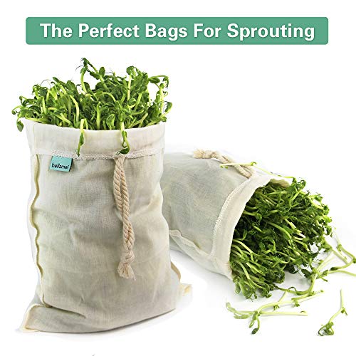 "Organic Cotton Nut Milk Bags, 2 Pack" - Image 6