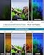 SEAOURA Professionelle Aquarium LED mit Timer | Vollspektrum Pflanzenlicht + 9 Farbmodi | Stromsichere Aquarium Beleuchtung | Anpassbar für 90-106cm Aquarien