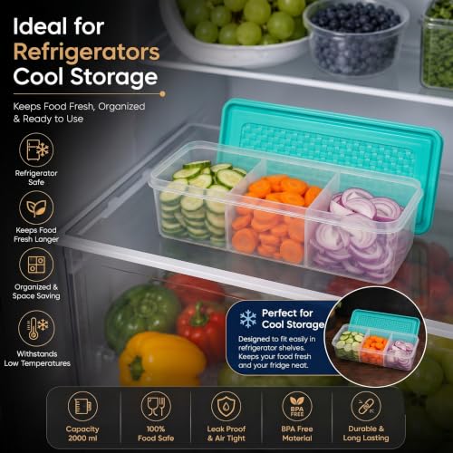 Image of MAGIC SPOON Multipurpose 3 Section Storage Container | Spice Box, Pickle Jar, Fridge Organizer, Dry Fruit, Vegetable & Kitchen Storage Container- 2000ml X 1 Pack (AQUA)
