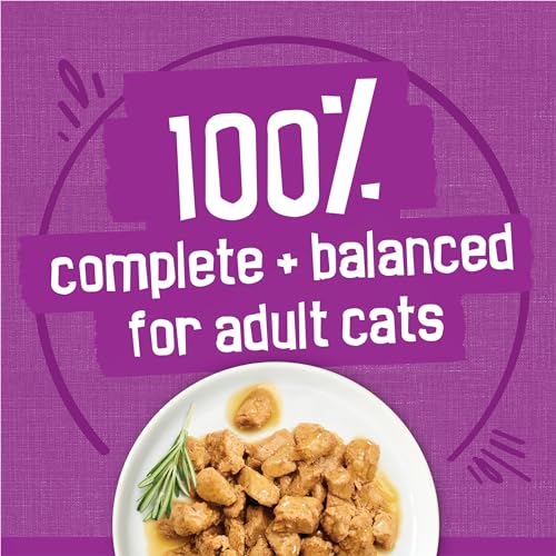 Purina Friskies Gravy Wet Cat Food Variety Pack, Poultry Shreds, Meaty Bits and Prime Filets - (Pack of 32) 5.5 oz. Cans