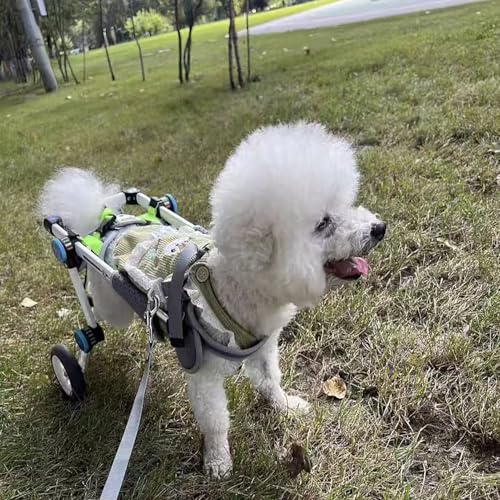 Fauteuil roulant pliable pour animaux domestiques et chariot de mobilité pour chiots léger