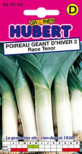 Graines de Poireau Géant d'Hiver Race Tenor - 1 gramme