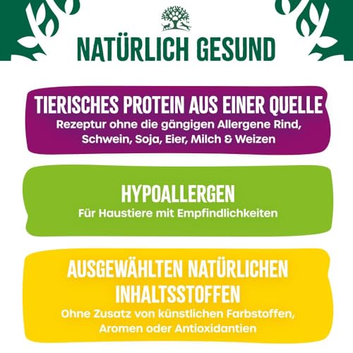 James WELLBELOVED Superfoods 1,5kg Hund Trockenfutter Truthahn mit Einer Mischung aus Grünkohl und Quinoa