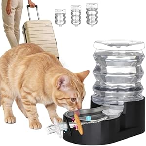 RIZZARI Dog Water Bowl Dispenser: 5L Black Stainless Steel Gravity Feeder with Activated Carbon - Soften Water - Remove Odor - Prevent Urinary Stone to Extend Lifespan - for Small Pets - Pat