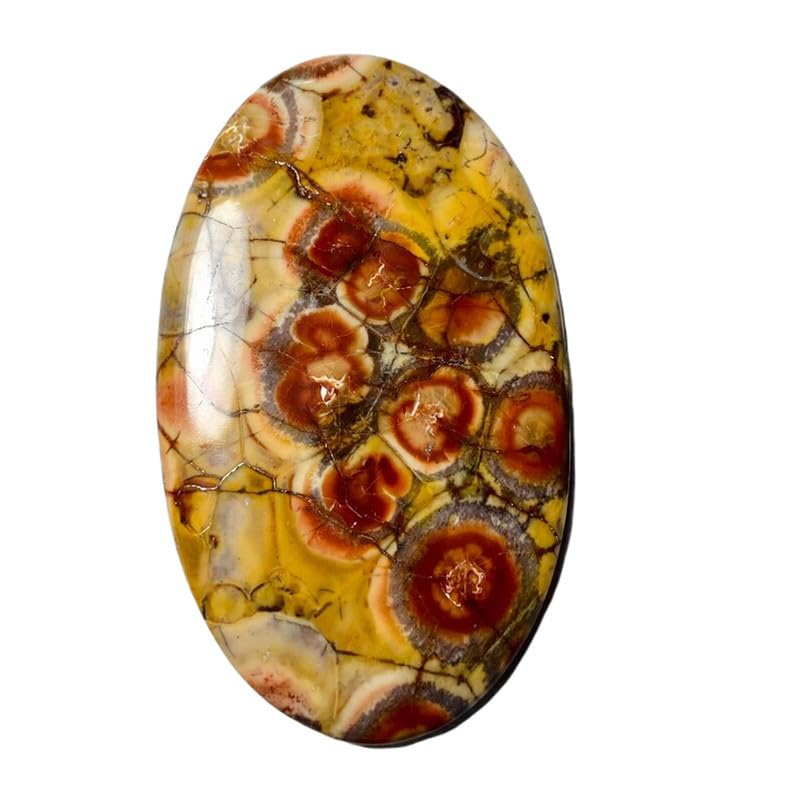Cabochon jaspe œil d'oiseau ovale 65x39mm pierre en vrac naturelle pour bijou GH_NAT_01665