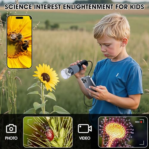 USB-Mikroskop, kompatibel mit iPhone, Android-Handy, Tablet und Windows-Mac-PC, HD 1080P kabelgebundene Digitalmikroskop-Kamera für Erwachsene und Kinder