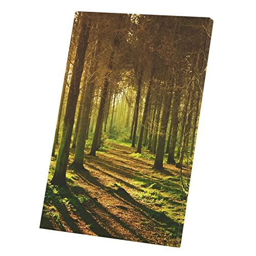 Toile Imprimée Forêt Poster Soleil Couchant Paysage Naturel 60x90 cm