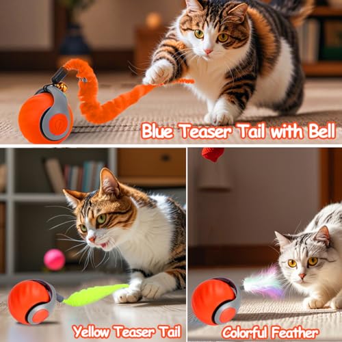 Image of 2PCS Interactive Cat Toy Ball, Rechargeable Cat Toys for Indoor Cats | with Feather Tails for Kittens Chasing, Motion Activated Ball for Enrichment, Automatic Rolling Toys to Keep Them Busy Orange
