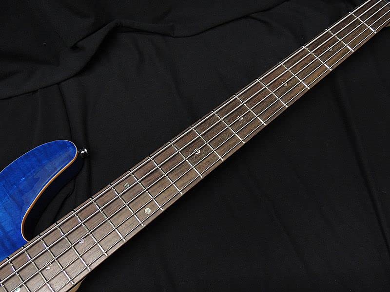 アクアブルー エレキベース スタッフのオススメ「今週の逸品」エレキベース #今週の逸品