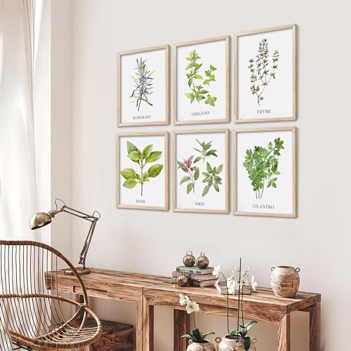 Image of kotart Kitchen Herbs Digital Painting for Restaurant Dinning Room Wall Decoration - Minimal Cooking Art Prints Decor (14X20 Inch, D) Pack of 6