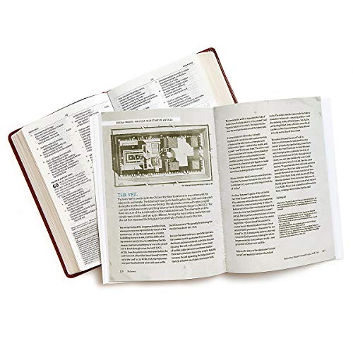 Hebrews Bible Study Book: The Nearness Of King Jesus #TOP4