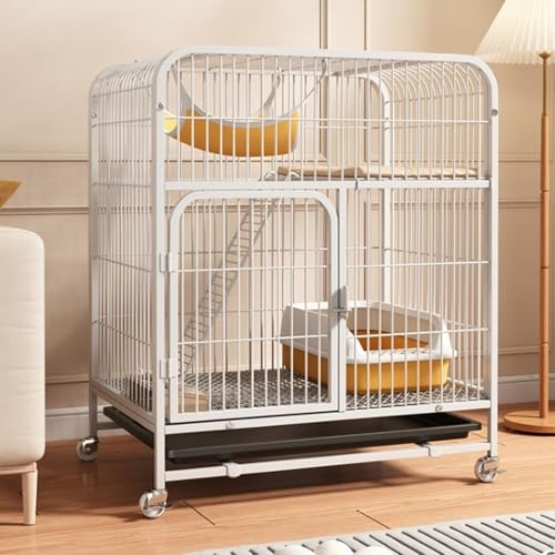 Clôture transparente pour chat pour éviter les fugues en intérieur spacieux