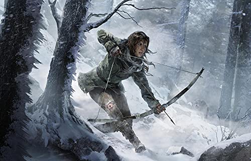 Rise of the Tomb Raider PS4 - vue 7