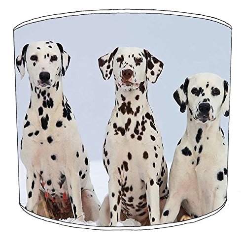 Dalmatian Dog Puppy Lampshade for A Ceiling Light in 3 Sizes - Free Personalisation