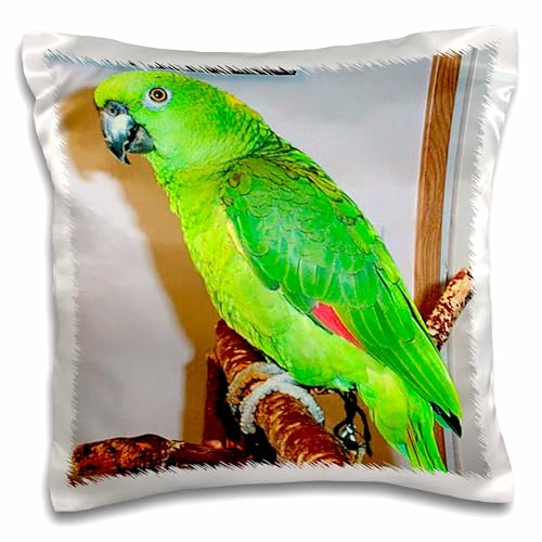 3dRose Birds-Yellow Nape Parrot (pc-948-1) Pillow Case, White