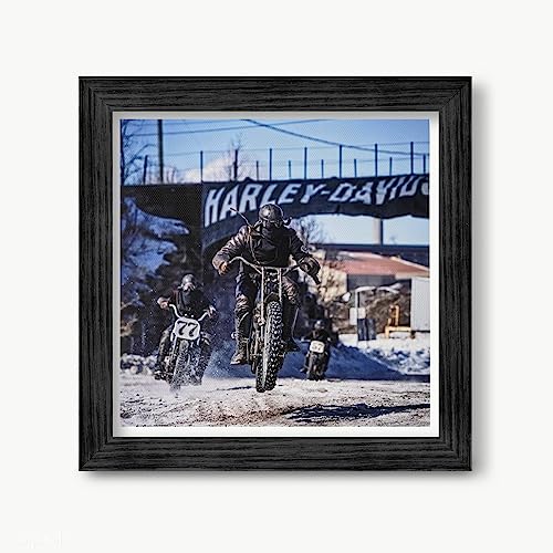 �n�[���[ ���[�X �|�X�^�[ �L�����o�X ���B���e�[�W �G�� �C���e���A �o�C�N PH11