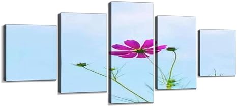 Amazon Co Jp 一輪 寂しい 一人ぼっち 哀愁 憂い 秋風 ポエム ロマンチック 白い花 庭 癒し 9月 10月 11月 背景画像 キャンバスアート アートボード 壁掛け装飾 おしゃれ 部屋飾り インテリアパネル 絵画 ポスター 木枠付きの完成品 ホーム キッチン Amazon Co Jp 一輪 寂しい 一人ぼっち 哀愁 憂い 秋風 ポエム ロマンチック 白い花 庭 癒し 9月 10月 11月 背景画像 キャンバスアート アートボード 壁掛け装飾 おしゃれ 部屋飾り インテリアパネル 絵画 ポスター 木枠付きの完成品 ホーム キッチン