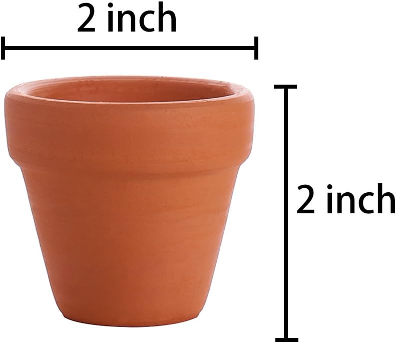 Winlyn 12 Pcs Small Mini Clay Pots 2'' Terracotta Pot Clay Ceramic Pottery Planter Cactus Flower Pots Succulent Nursery Pots- Great for Plants,Crafts,Wedding Favor