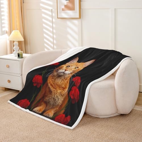 Image of Orange Cat Fleece Blankets for Kids Boys Girls Floral Print Blanket Cute Kitten Pattern Throw Blanket Sherpa Blanket 3D Animal Theme Teens Adults for Couch Bed Sofa Plush Blankets Twin 60 inchx80 inch