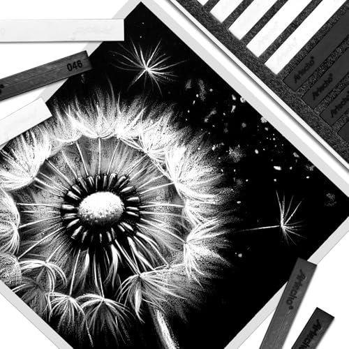 Artecho 12pcs Soft Pastels, 6 White and 6 Black Soft Pastels, Square Chalk for Drawing, Blending, Layering, Shading - Thumbnail 5
