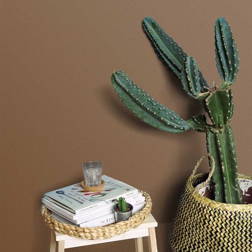 壁紙屋本舗 壁紙 のりなし クロス Daily palette 茶色 ブラウン 塗り壁風 漆喰風 無地 サンゲツ RE55042 幅92cm×切り売り m単位