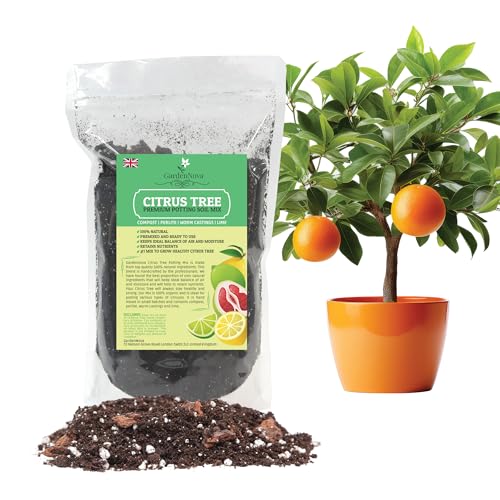 Citrus Tree Potting Soil Mix Special Blend for Indoor Oranges Lemons Limes and More - (1 Liter Bag)