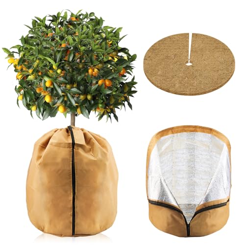 ZYNERY Thermo Topfschutz für Pflanzen, 65 * 70cm Topfpflanzen Schutzbeutel mit Pflanzenschutz Winter Kokosscheibe Nachhaltig Pflanzenschutz Winterschutz für Kübelpflanzen (B)