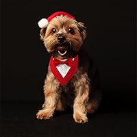 Vista 6 de Bandana de boda para perro, collar formal de esmoquin ajustable para perro con lazo, ropa de boda pequeña, mediana y grande, regalos de cumpleaños