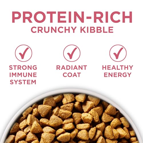 Purina ONE Plus Skin & Coat, Sensitive Stomach Dry Dog Food, 8 lb Bag - image 7