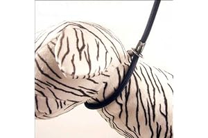 Nylon Rope Dog Whisperer Cesar Milan Style Slip Training Leash Lead and Collar