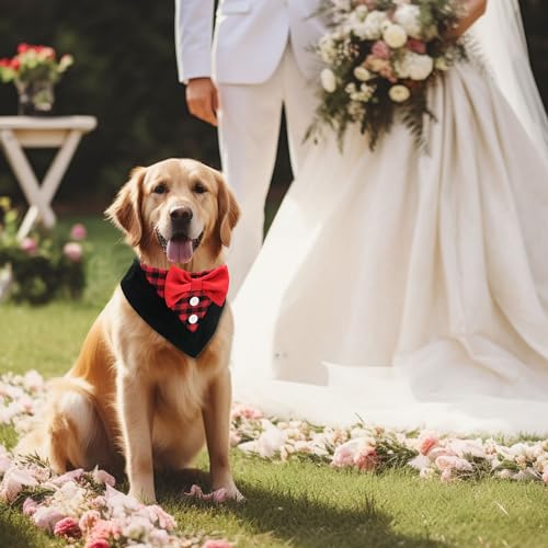 Disfraz Tuxedo Navidad para Perro Small Negro y Rojo a Cuadros miniatura 5