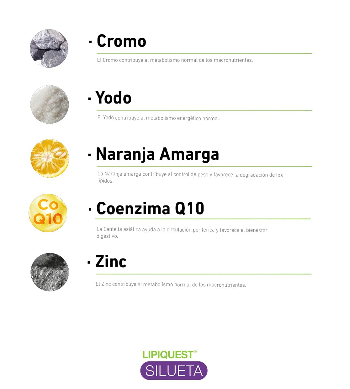 AlchemLife - Pack Lipiquest Silueta + Antipicoteo | Control de Peso y Gestión del Apetito | Solución Líquida 300 ml + 15 Cápsulas Vegetales | Metabolismo de Grasas y Azúcares