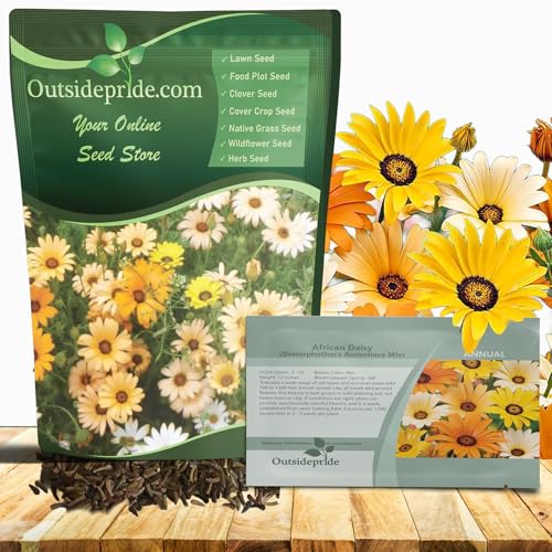 Outsidepride Mix African Daisy Seeds - 1/4 lb. Annual Flower