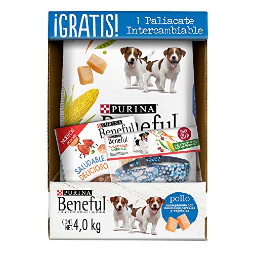 purina beneful costal 20 kg