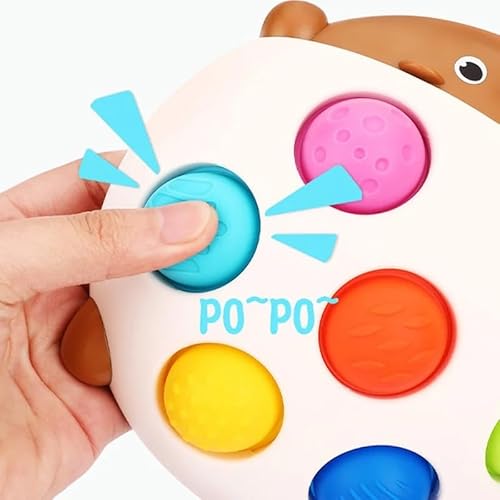 Brinquedo Sensorial bebê Ouriço Porco Espinho Montessori