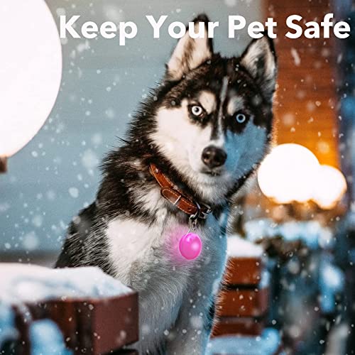 Homeet 6 Stück Hunde Sicherheits Blinklicht Clip-On LED Leuchtanhänger Haustier Leuchthalsband mit 3 Blinkmodis Sicherheitslicht für Hund Sicherheit