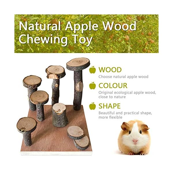 Hamster climbing wooden stand platform, pet cage playground natural wood bridge ramp toys for dwarf hamsters, syrians hamster, gerbil, mouse, rat - image 3