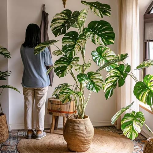 varayumi tFCNO[ ^ ϗtA tFCN  CeA G} lHϗtA Xe  O sv ͂Ȃ sv tȂ RȎ}Ԃ  rO xbh[ ItBX i͔͕t܂ (180c