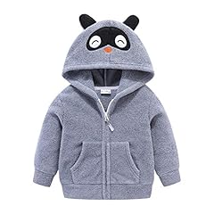 Cartoon Dark Gray Raccoon