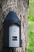 Nichoir pour chauve-souris 2 F avec plaque en bois