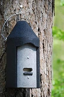 Nichoir pour chauve-souris 2 F avec plaque en bois